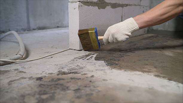 SJ Waterproofing Pros Crawl Space Encapsulation coverage map for Miller Place, NY and surrounding area